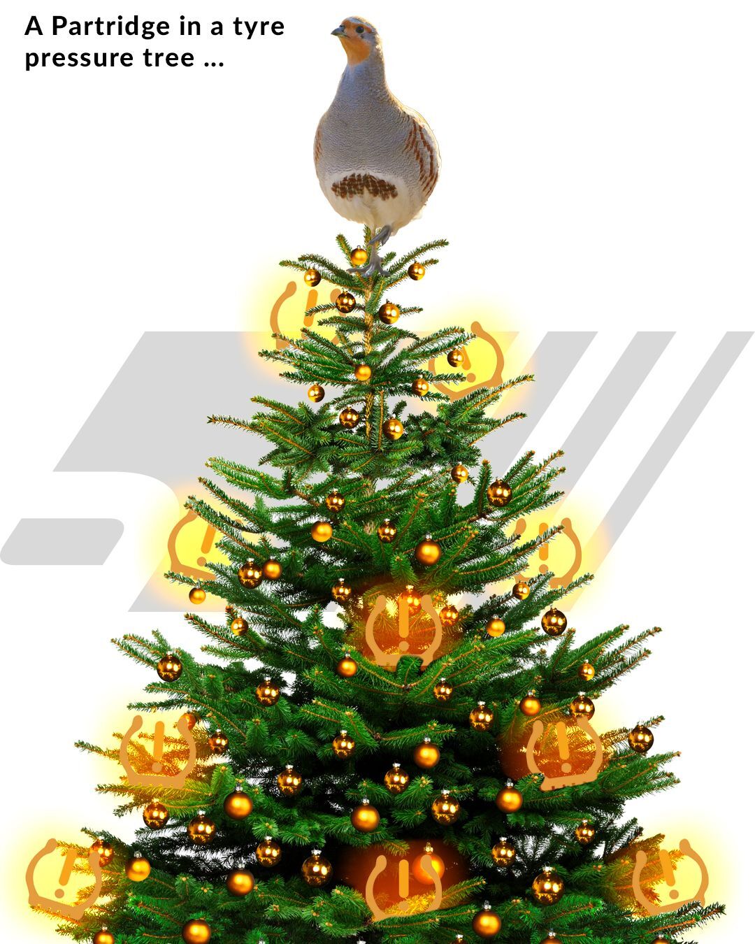 12 Days of Christmas but make it TPMS