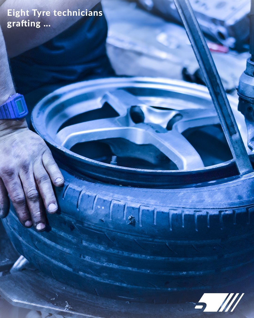 12 Days of Christmas but make it TPMS