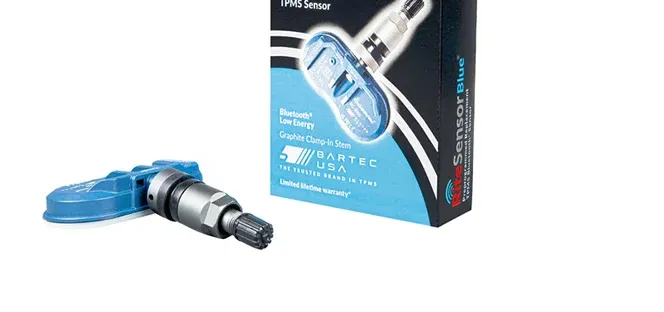 Rite-SensorBlue® Assembly